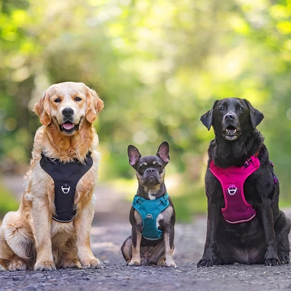 Felix - Szelki dla psa powstrzymujące ciągnięcie na smyczy