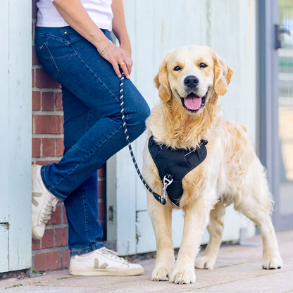 Felix - Szelki dla psa powstrzymujące ciągnięcie na smyczy