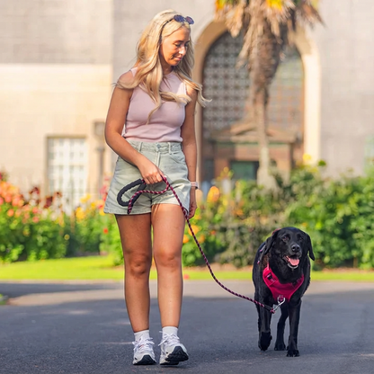 Felix - Szelki dla psa powstrzymujące ciągnięcie na smyczy